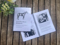 Your First Horse Workbook